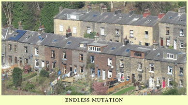 endless mutation